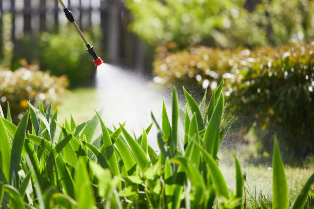 24/7 Emergency Mosquito Control experts in Savage, MN